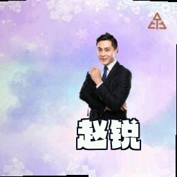 赵锐